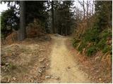 Zgornja Besnica (Podrovnik) - Sveti Jošt above Kranj